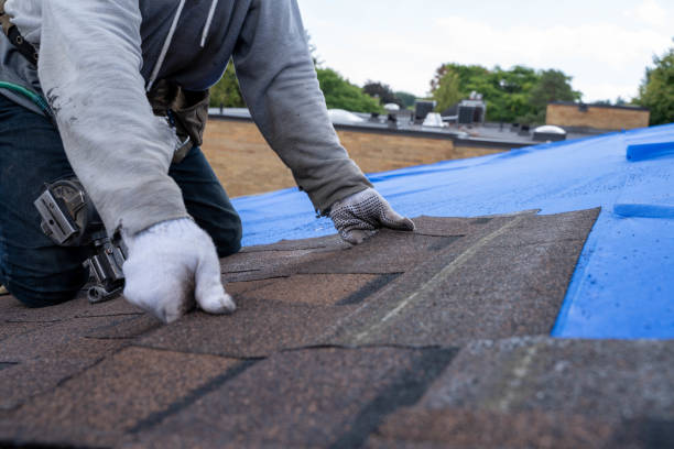 Quick and Trustworthy Emergency Roof Repair Services in Sugar Grove, IL